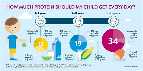 protein needs in infancy are similar to
